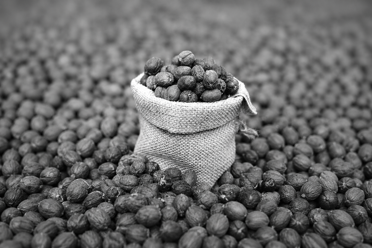Buy Coffee Beans Online Pakistan